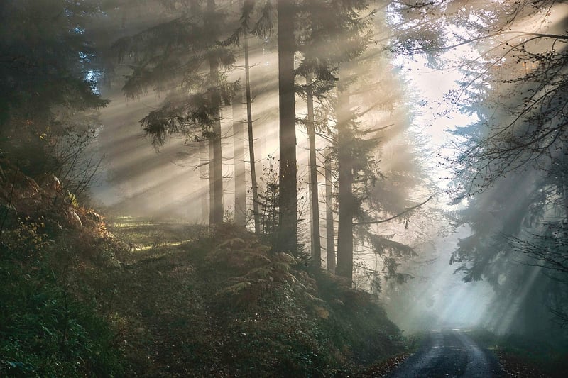 Mystical outdoor realms