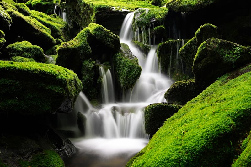 Whimsical Water Feature