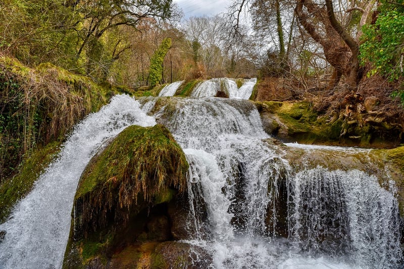 Whispering Stream